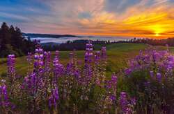 Якщо є можливість, найближчими днями треба уникати тривалого перебування на сонці