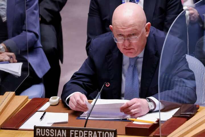  Кислиця спрогнозував сумне майбутнє посла Росії в ООН
