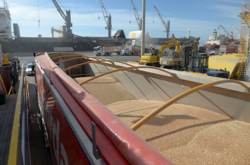 Рашисти відвантажили сім тисяч тонн зерна