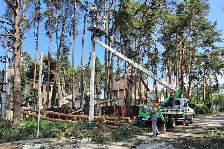 «Дерева попадали, як доміно»: комунальники зачищають Ірпінь після негоди (відео)