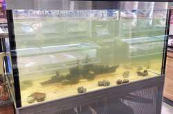 Супермаркет затопив крейсер «Москва» (фото)