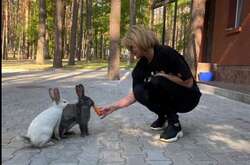 К жене Луценко пришли кролики (видео)
