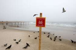 Військові ліквідували міну в Дністровському лимані