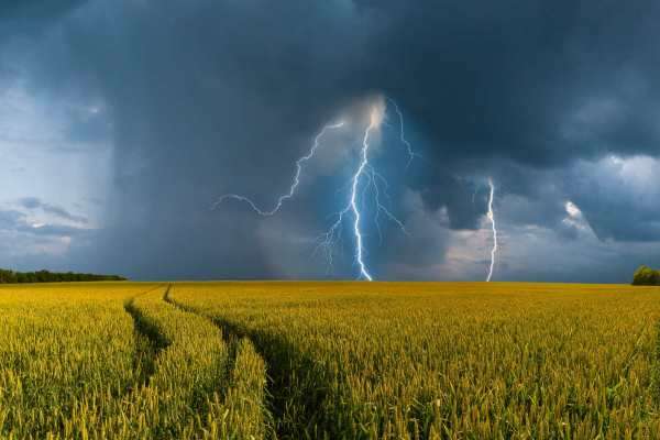 В Україні оголошено штормове попередження: де очікується негода 