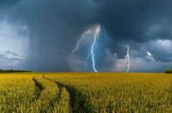 В Україні оголошено штормове попередження: де очікується негода 