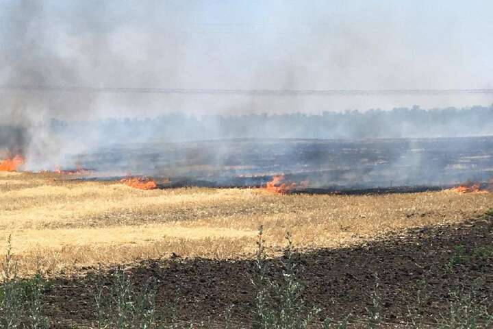 Рашисти спалили 20 гектарів пшениці на Дніпропетровщині