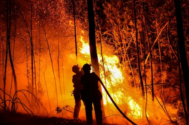 У Франції вирують масштабні лісові пожежі