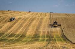 Україна зібрала перший мільйон тонн зерна нового врожаю