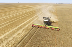 Украина собрала первый миллион тонн зерна нового урожая
