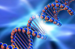 В Україні з'явиться база ДНК. Рада ухвалила закон