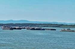 Звільнення Зміїного заощаджує бізнесу щонайменше $500 тис. на добу