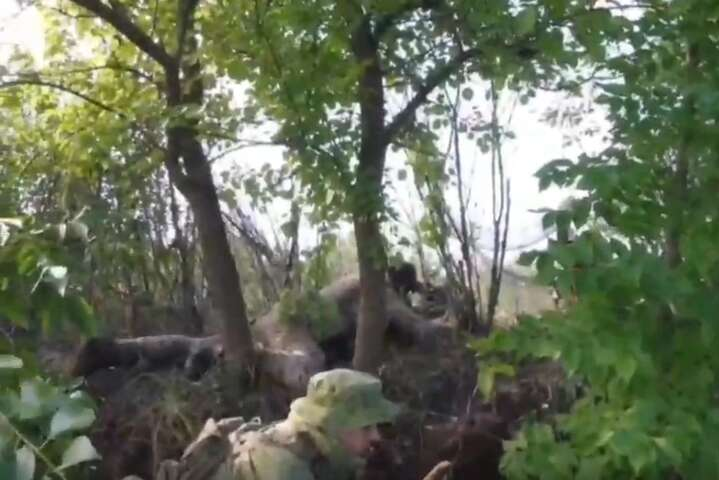 Нацгвардия уничтожила группу наблюдения россиян в Донецкой области (видео)