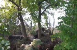 Наши воины продолжают уничтожать врага, который пришел на украинскую землю