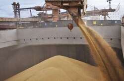 Угода стосовно експорту зерна. Зрада чи перемога?