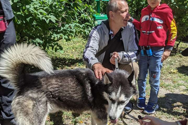 Жители Киева устроили большую очередь за спасенными от войны животными (видео)