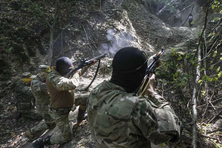 Військове командування координує дії українських партизанів, – «Південь»