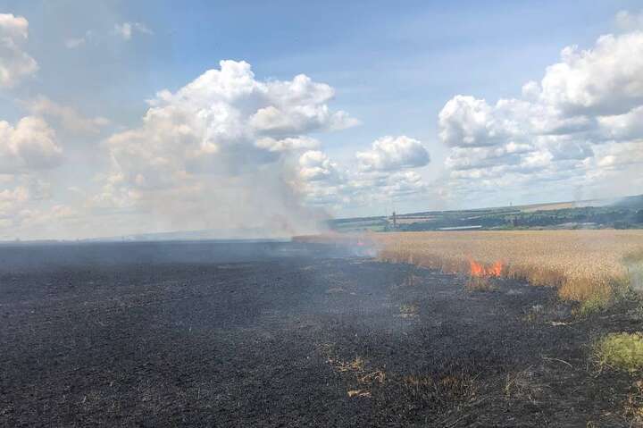 Окупанти спалили на Харківщині два поля з пшеницею (фото)