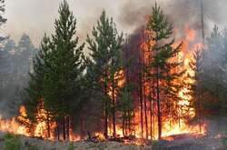 Рятувальники попередили про надзвичайний рівень пожежної небезпеки