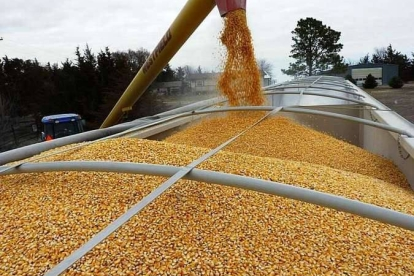 США триматимуть на контролі виконання Росією угоди про експорт зерна