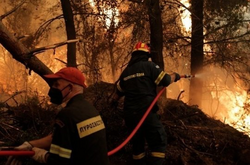Через лісові пожежі з грецького острова Лесбос евакуйовують людей