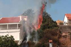Грецію охопили масштабні лісові пожежі через аномальну спеку (фото)