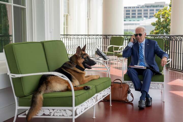 Хворий на ковід Байден ізолювався зі своїм собакою (фото)