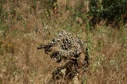 ЗСУ під Краматорськом змусили тікати окупантів, а на Харківщині – знешкодили