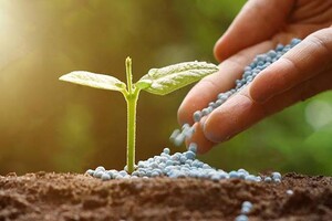 Українські виробники азотних добрив можуть зайняти до 15% ринку ЄС