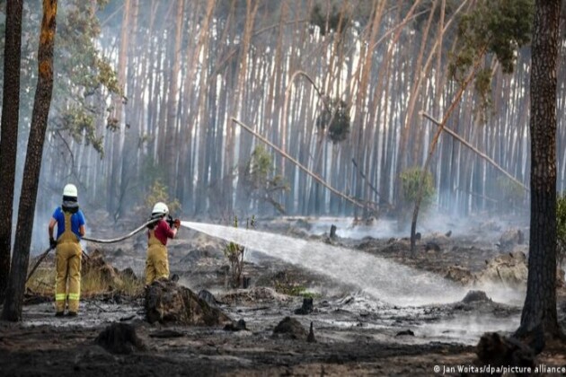 У Німеччині вирують лісові пожежі, є постраждалі