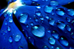 30 июля: какой сегодня праздник, приметы и запреты