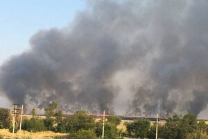 Партизани підпалили поля біля Маріуполя, щоб урожай не дістався окупантам