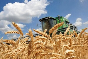 Україна через війну матиме катастрофічно низький врожай, але намагається запобігти продовольчій кризі