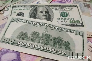 Нічого критичного не відбулося: голова Ради НБУ про стрибок долара за позначку 42 грн