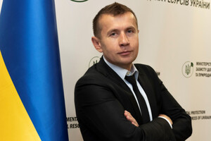 Кабмин создает лесного монополиста: кто заработает на украинском лесу