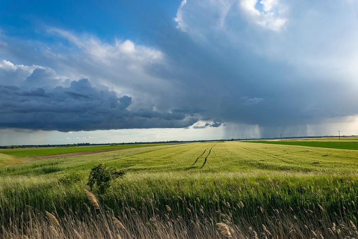 В Украине объявлено штормовое предупреждение: какие области накроет непогода