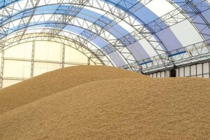 10% сховищ для зерна знаходяться на окупованій Росією території