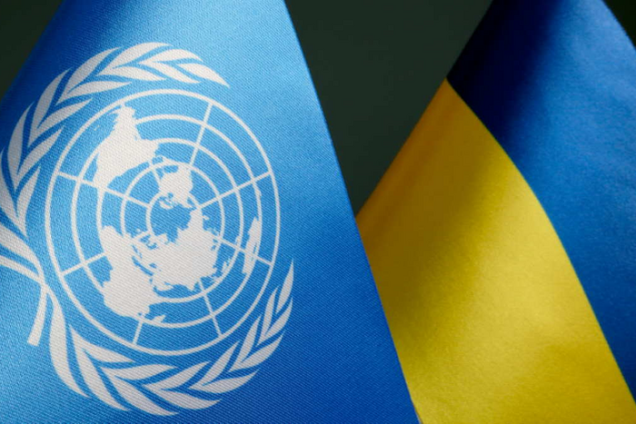 ООН запустить місію, яка займеться пошуком фактів теракту в Оленівці