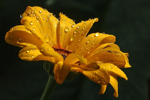 5 августа: какой сегодня праздник, приметы и запреты