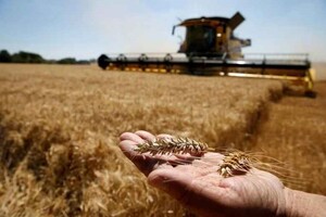 Понад 30 країн, які є нетто-імпортерами пшениці, покладаються на Росію та Україну...