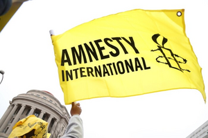 Військові експерти засудили звіт Amnesty International