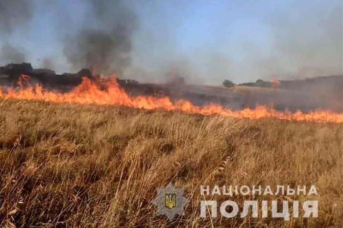 Ворожим вогнем знищено поля пшениці на Запоріжжі (фото)