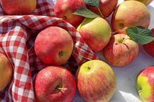 Цены на яблоки в Украине тают на глазах: что говорят эксперты