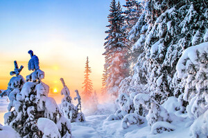 За останні 25 років середня температура січня – лютого в Україні зросла на 2–2,5 градуси