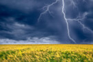 Україну накриють грозові зливи: прогноз погоди на 11 серпня