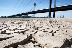 Засуха в Европе: катастрофически обмелел Рейн, судоходство на реке под угрозой