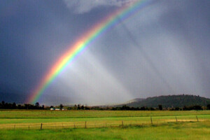 Жарко, но с грозами: прогноз погоды в Украине на 15 августа