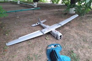 Чим збили чи як посадили пташку – таємниця