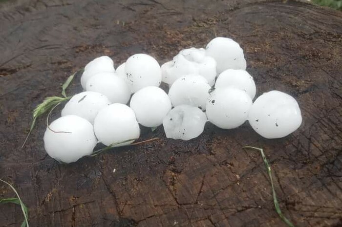 На Харківщині випав град розміром із куряче яйце (фото)