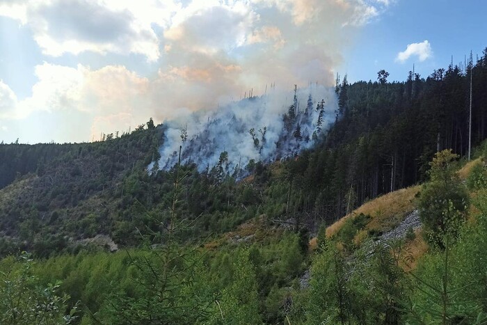 В Івано-Франківській області вже кілька днів горить ліс