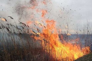 На Київщині горять торфовища